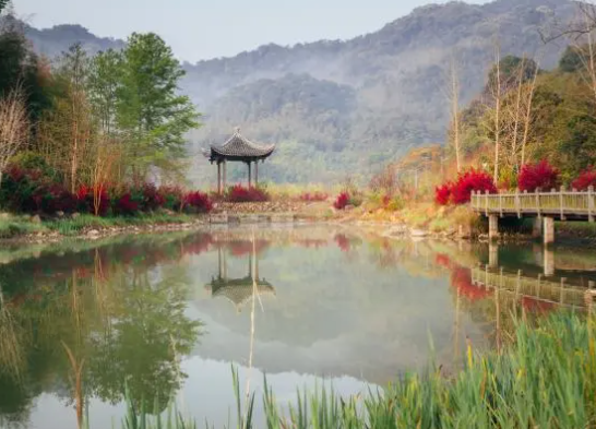 20241101_152508_931709.png image.png